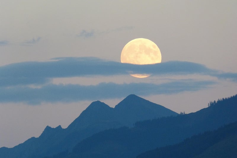 Moonlit night